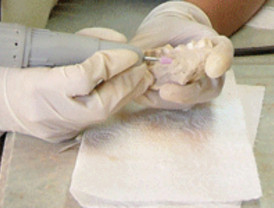 El Cenieh estudia con la Universidad Seattle Pacific la bioenergía de poblaciones actuales y homínidas