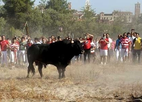 Declarado nulo el torneo del Toro de la Vega 2012 ante 40.000 personas y las protestas antitaurinas