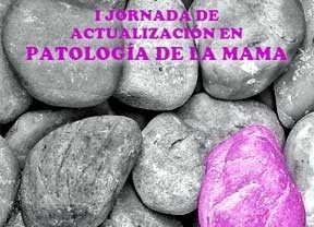 El Clinico de Valladolid acoge una jornada científica sobre el cáncer de mama