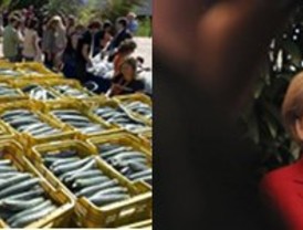 España no demandará a Alemania por la crisis del 'pepinazo'