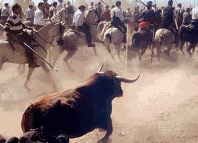 PACMA pide por carta a Rajoy y Rubalcaba que revisen la legislación para evitar que se celebre el Toro de la Vega en Tordesillas