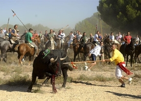El Partido Animalista lleva a Madrid su protesta contra el Toro de Vega, tres días antes del festejo 