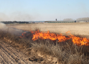 La Junta autoriza quemas controladas para prevenir plagas de topillos en cuatro localidades de Zamora