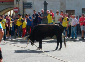 Anpba recurre la orden de la Junta que legaliza el 'toro enmaromado' de Astudillo (Palencia)