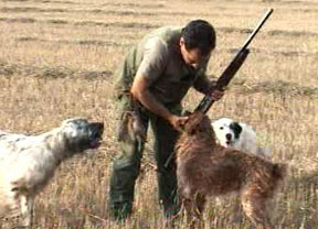 La media veda de caza en Castilla y León se iniciará el 15 de agosto y se prolongará hasta el 14 de septiembre