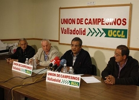 Agricultores de Valladolid contratarán a parados para vigilar por la noche sus parcelas 