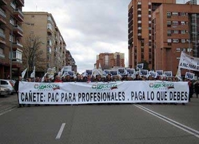 UPA y COAG movilizan en Valladolid a más de 2.000 agricultores y ganaderos contra la 