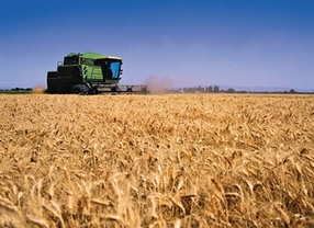 Dujo acusa a los 'intermediarios internacionales' de la caída de precios del cereal y de 'hacer el agosto con los agricultores de la Comunidad'