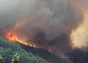 Controlado el fuego de Hontalbilla (Segovia) que ha quemado más de 95 hectáreas