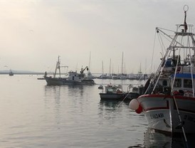 La flota del cerco del Golfo de Cádiz comienza este viernes una veda temporal de 60 días