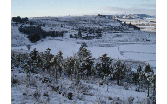 Activada la fase de alerta por nevadas en Burgos, Palencia, Soria, Zamora y León