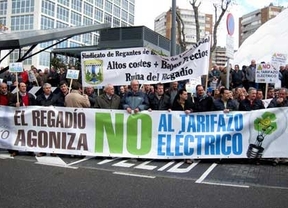 Más de un millar de regantes de CyL se concentra en Valladolid contra el 'tarifazo eléctrico'