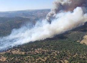 La Junta da por controlado el incendio de Cebreros (Ávila), que ha afectado a 1.000 hectáreas