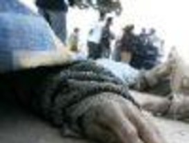 Último balance elevó la cifra de fallecidos a 513