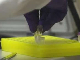 OMS: 15.510 casos y casi 100 muertos en 53 países