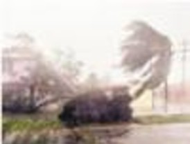 Continúa la emergencia en México