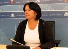 El PSOE advierte de que la Junta recortará el próximo curso 367 docentes en centros educativos de CyL