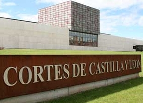 Las Cortes acuerdan reclamar a la Junta reformas para exigir información a las cajas