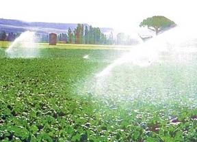 UCCL reclama un uso responsable del agua disponible
