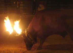 Pacma inicia una campaña para poner fin al 'Toro Júbilo' de Medinaceli (Soria)