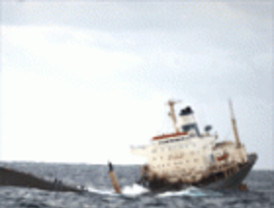 ¿Dónde conducir a los buques en peligro de naufragar?