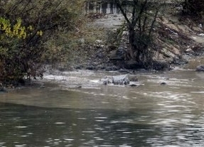 Bruselas pedirá a España información detallada sobre tratamiento de aguas residuales en Laguna de Duero