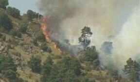 Decenas de efectivos trabajan en la extinción de las llamas en el municipio leonés de Salce