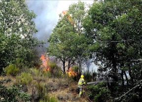 Controlado el incendio en Los Ancares leoneses que amenazó a la localidad de Quintela