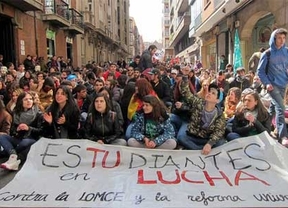 Los estudiantes salen a la calle por la aplicación 'antidemocrática' de la Ley Wert