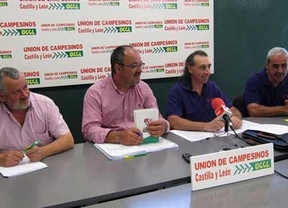 UCCL asumirá la presidencia de la Cámara de Valladolid si dimite el representante de Asaja
