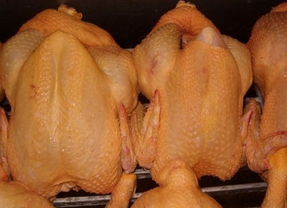 UPA y COAG censuran que la gran distribución utiliza el pollo como producto reclamo al venderlo por debajo de costes