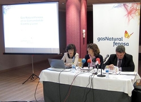 Gas Natural Fenosa invertirá 35,7 millones de euros en Castilla y León