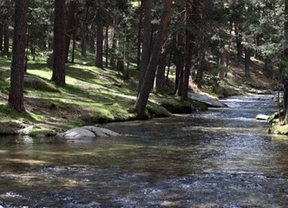 El BOE publica la aprobación por la Unesco de la Reserva de la Biosfera del Real Sitio-El Espinar