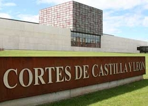 Unanimidad en las Cortes para reclamar al Gobierno el mantenimiento de las ayudas a la minería