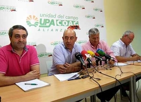 Alianza por la Unidad del Campo anuncia medidas legales para defender la ayuda de 3 euros por tonelada de remolacha
