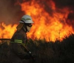 Un incendio forestal en Palacios del Sil lleva ya dos días activo