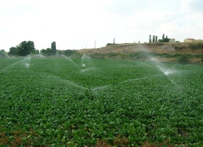 Castilla y León fue la tercera comunidad que más agua de riego empleó en 2011, un 12,3 por ciento del total