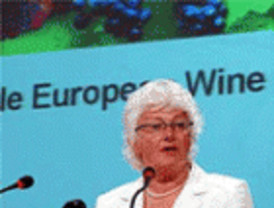 La CE estudia reducir a la mitad la superficie de viñedo