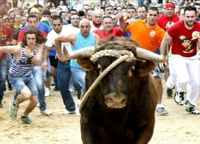 El Toro Enmaromado de Benavente (Zamora) deja seis heridos, cinco por asta de toro