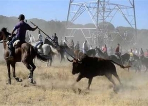 Pedro Sánchez dice que no le verán en una corrida de toros y rechaza festejos como el Toro de la Vega en el siglo XXI