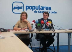 Herrera liderará la movilización de cargos públicos del PPCyL para las europeas, 'primera vuelta' de los comicios de 2015