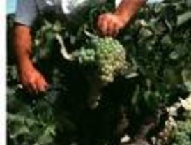 ASAJA dice que el borrador es una trampa mortal para la región