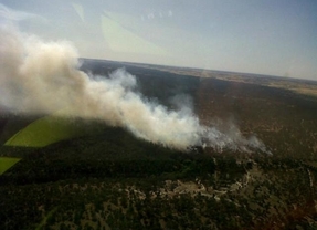 El incendio de Cuéllar, totalmente controlado, ha arrasado unas 40 hectáreas de superficie arbolada