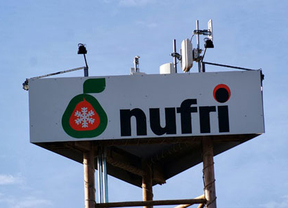 La Junta concede un préstamo de 12,5 millones a Nufri para construir una central hortofrutícola en La Rasa (Soria)