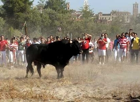 La Audiencia de Valladolid archiva la querella del Pacma contra Pablo Trillo por autorizar el 'Toro de la Vega'