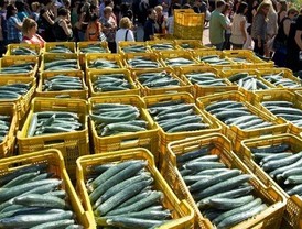 La 'crisis del pepino' provoca una caída del 10% en la exportación