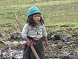 Certamen de escritura SCREAM contra el trabajo infantil