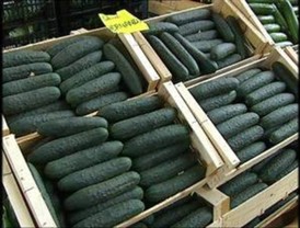 España demandará 80 millones por los daños derivados de la 'crisis del pepino'