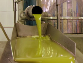 Asaja-Sevilla exige un protocolo que haga controles sorpresa en el aceite de oliva