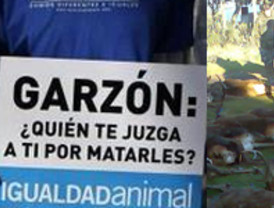 Garzón, 'presa fácil' de los defensores de los animales
